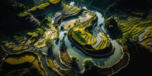 Aerial View Of Oriental Rice Fields, Surreal Rice Cultivation Landscape, Asian Green Planes And Plantations, Generative Ai