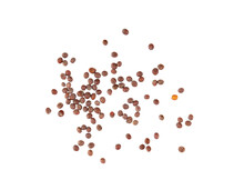 Mustard Seeds Isolated On Transparent Png