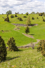 Poster - Old culture landscape with juniper bushes and stone cairns