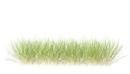 Wall Mural - bunches of grass on a transparent background. 3d rendering.