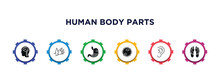 Human Body Parts Filled Icons With Infographic Template. Glyph Icons Such As Brain Inside Human Head, Hand Showing Palm, Stoh With Liquids, Big Cellule, Ear Lobe Side View, Human Footprints Vector.