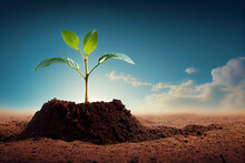 Plant Sprout Seedling Growing Out From Fertile Brown Soil On A Blue Sky Horizon Landscape Environmental