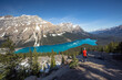 © Cavan Images - Hiker looking at view of Peyto Lake and Canadian Rockies in Banff National Park, Alberta, Canada