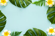 Summer background with tropical frangipani flowers and green tropical palm leaves on light background. Flat lay, top view. Summer party backdrop