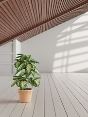 Wall Mural - A potted plant, Dumb Cane in an empty room. Single plant, Dumb Cane at the ground in a light color room. 3d rendering