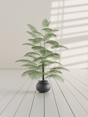 Wall Mural - A potted plant in an empty room. Single plant at the ground in a light color room. 3d rendering