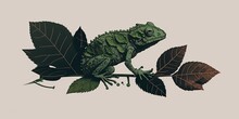 Frog Minimal Wallpaper By Generative AI