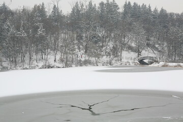 Canvas Print - winter scenery of the pond