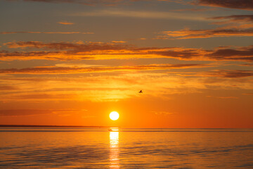 Wall Mural - Sunset over sea, red colors, long clouds