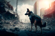 Un perro policía sobre los restos de una ciudad devastada por la guerra o por desastres naturales como terremotos, buscando supervivientes debajo de los escombros. IA Generativa