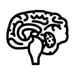 neurology brain line icon vector illustration