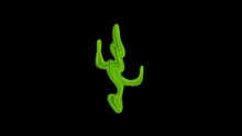 Cactus Plant Loop Animation Video Transparent Background With Alpha Channel