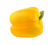 yellow pepper on transparent png