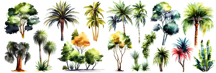Watercolor tropical trees set. Palm tree in green color isolated on white background. Vintage coconut and banana trees. Floral tropical jungle. Generative Ai.