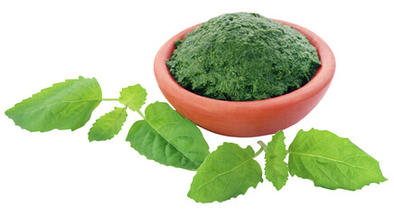 Wall Mural - Medicinal holy basil with ground paste