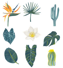 Set Of Tropical Botanical Illustrations. Green Leaves, Cactus And Exotic Flowers. Floral Gouache Painting Graphic Design Element For Greeting Cards, Postcards, Wedding And Party Invitation, Scrapbook.