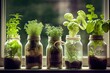 © CravenA - Generative AI illustration of different herbs growing in jars on a window, including basil, sage, chives, parsley, oregano, and thyme