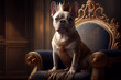 white French bulldog dog with a golden crown on his head, sitting on a luxury armchair