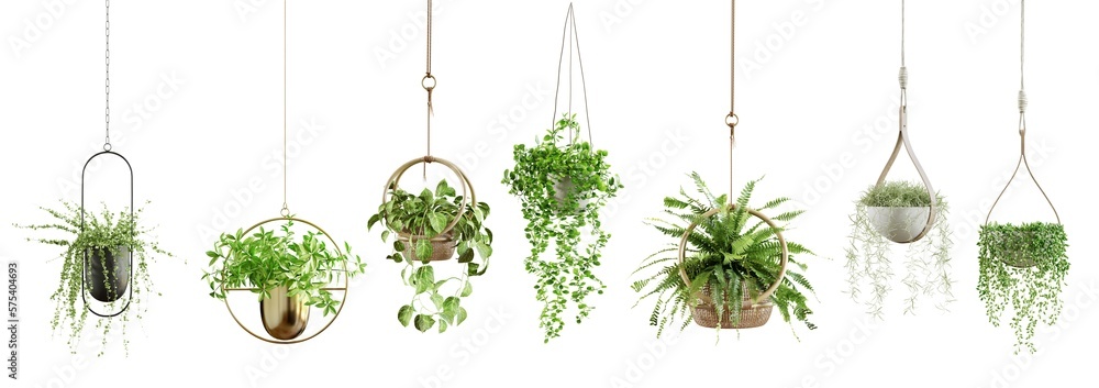 Collection of beautiful plants hanging in various pots isolated on  transparent background. 3D render. Stock Photo | Adobe Stock