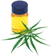 Poster - Cannabis leaves with green extract