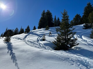 Wonderful winter hiking trails and traces in the fresh alpine snow cover of the Swiss Alps and over the tourist resort of Arosa - Canton of Grisons, Switzerland (Schweiz)