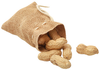 Canvas Print - Fresh Peanuts in sack