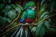 Resplendent The Costa Rican Quetzal (Pharomachrus mocinno) or Savegre against a wooded backdrop. Green and red sacred bird of incredible beauty. Looking for birds in the forest. Generative AI