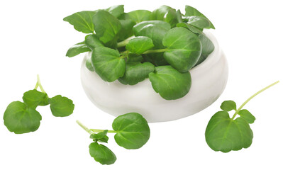 Sticker - Fresh organic watercress