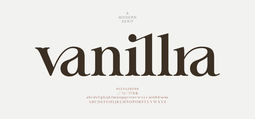 Elegance Luxury wedding alphabet font. Decorative Typography elegant classic lettering serif fonts vintage retro for logo. vector illustration