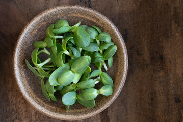 Wall Mural - Sunflower Shoots in a Bowl