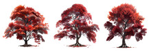 Set Of Autumn Tree With Red Foliage Isolated On White Background, Image Ai Generate