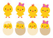 Little baby boy and girl Easter chick and chicken vector illustration. Hatching baby chick and chicken vector illustration set.