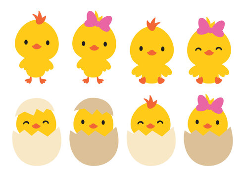Fototapete - Little baby boy and girl Easter chick and chicken vector illustration. Hatching baby chick and chicken vector illustration set.