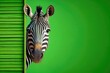 Zebra Green Background With Blank Copyspace Looking Around Generative AI