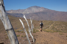 View Past Wooden Fence Posts To Hiker On Desert Trail In Mountains