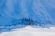 © Cavan Images - Valley in winter below Mount Emmons, Gunnison National Forest, Colorado, USA