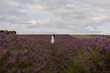 © Cavan Images - Walking through the fields of an English lavender field