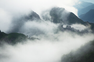 Wall Mural - Morning fog in the mountains at sunrise. Clouds over the rocks and trees.