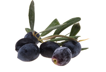 Poster - branch with olives isolated