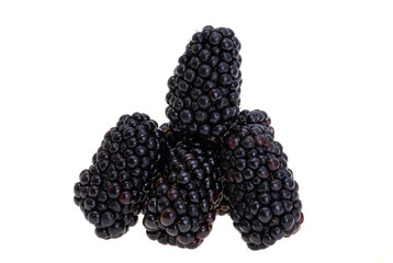 Wall Mural - blackberry berries isolated