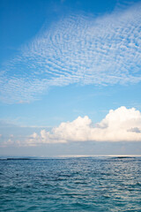 Poster - background of turquoise sea and blue sky