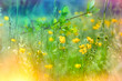 Spring meadow with yellow flowers and green grass, soft focus and selective focus on buttercup