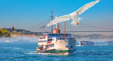 Wall Mural - Sea voyage with old ferry (steamboat) in the Bosporus with Bosporus bridge - Istanbul, Turkey 