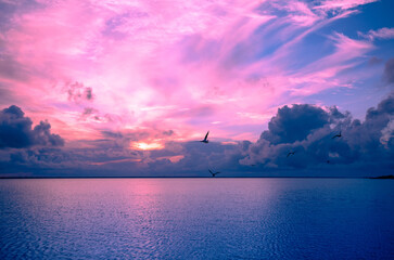 Wall Mural - seascape in the early morning, sunrise over the sea. nature landscape