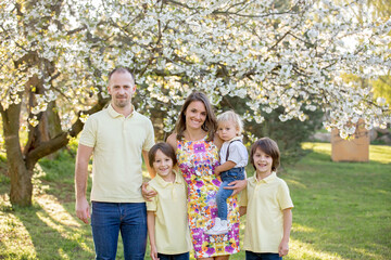 Poster - Beautiful family, mother, father and three kids, boys, having familly outdoors portrait taken on a sunny spring evening, beautiful blooming garden, sunset time