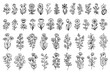 © Gexam - Line art hand drawn, doodle flower designs. Big floral set with thin line flowers. You can use this design for printing, web, decorating in different compositions, postcards, invitations and so on.