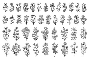 Line art hand drawn, doodle flower designs. Big floral set with thin line flowers. You can use this design for printing, web, decorating in different compositions, postcards, invitations and so on.