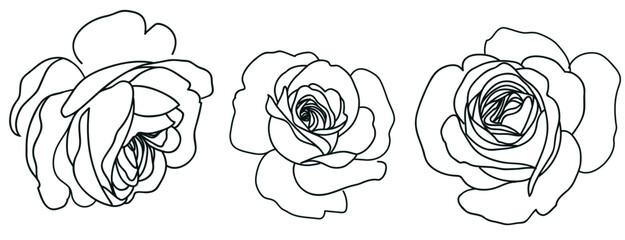 Aufkleber - Set of decorative line art rose isolated on white. Vintage flowers. Vector stock illustration