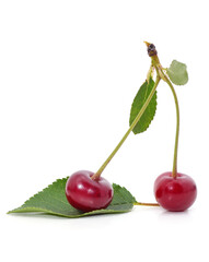 Poster - Two cherries on green leaves.