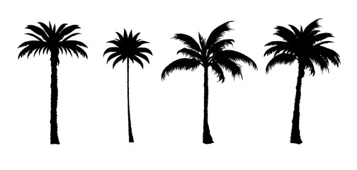 set of black silhouettes of a palm tree, silhouette of a palm tree isolated